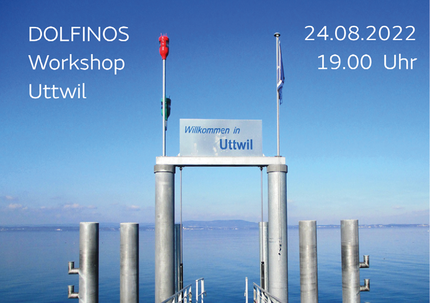 DOLFINOS Uttwil Switzerland workshop all in one chin shoulder rest system