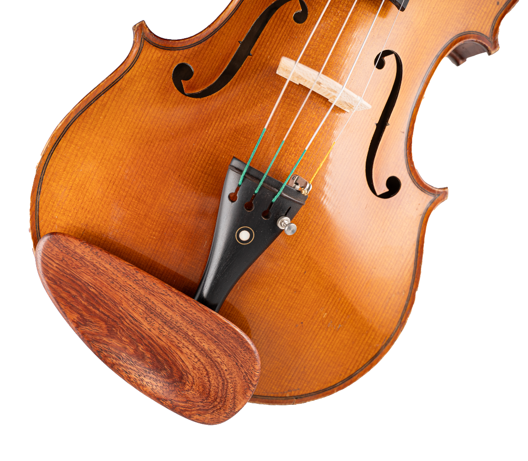 Close-up of a violin's body and bowing mechanism on a white background