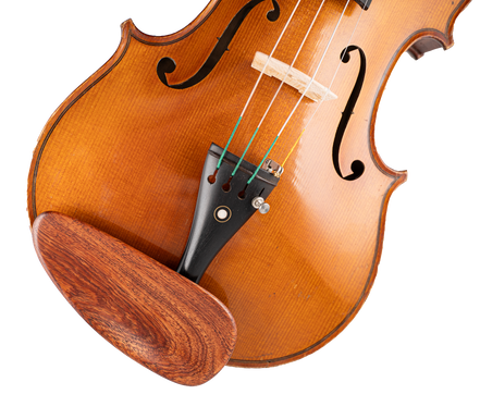 Close-up of a violin's body and bowing mechanism on a white background