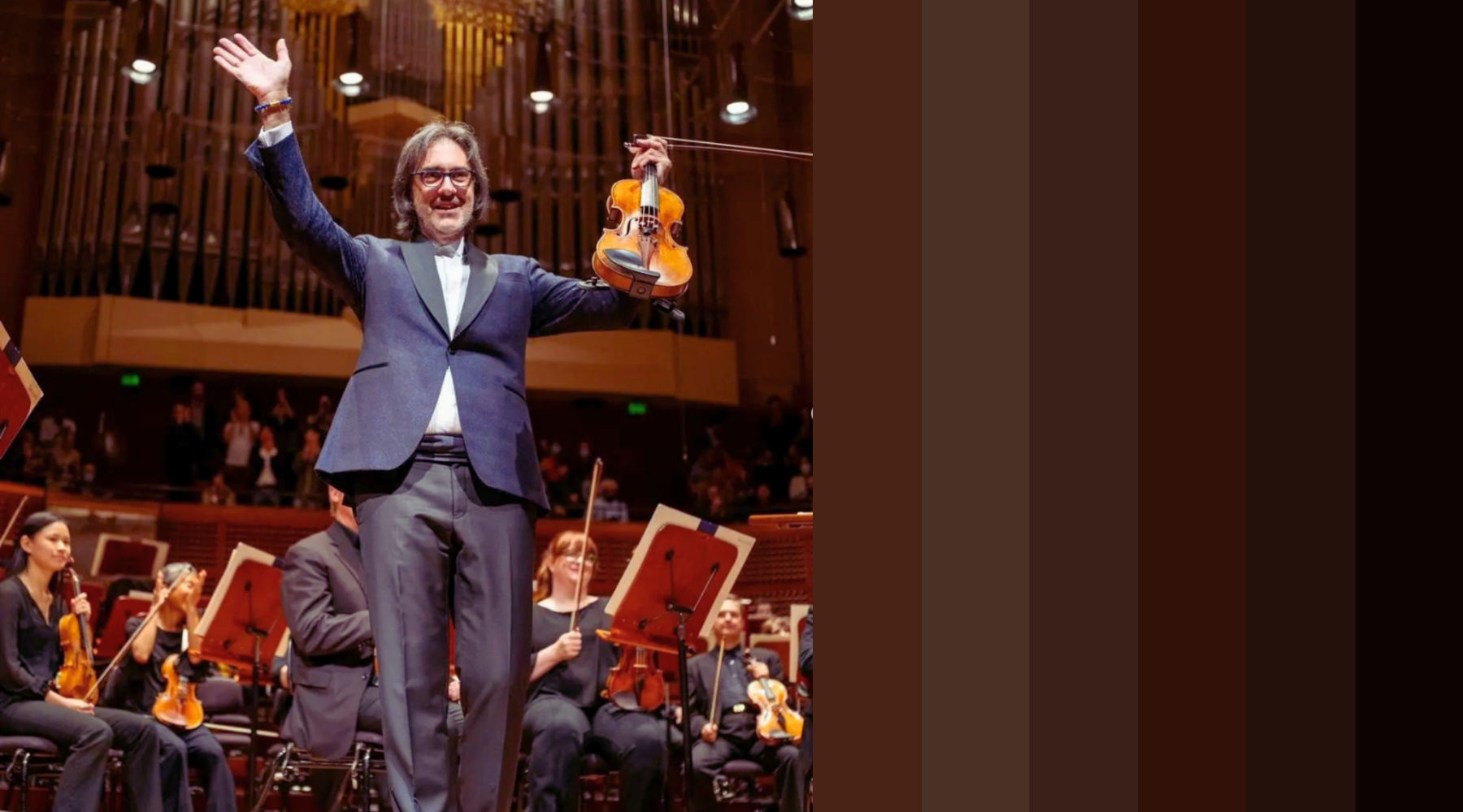 Chin & Shoulder Rest System for Violin and Viola Dolfinos