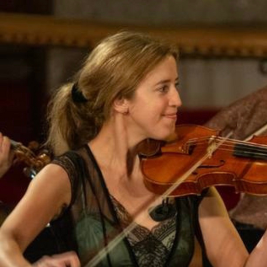 Chin & Shoulder Rest System for Violin and Viola Dolfinos