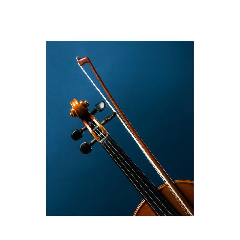 Chin & Shoulder Rest System for Violin and Viola Dolfinos