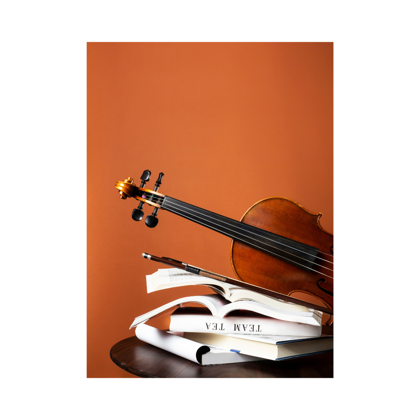 Chin & Shoulder Rest System for Violin and Viola Dolfinos