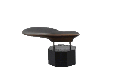 The DOLFINOS Chinrests - Lisbon