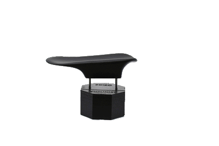 The DOLFINOS Chinrests - Toledo